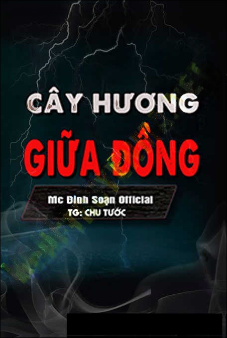 Cầy Hương Giữa Đồng