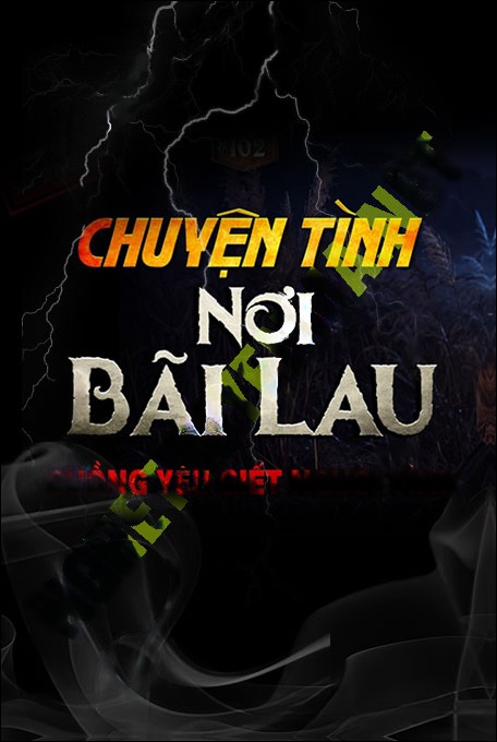 Chuyện Tình Nơi Bãi Lau