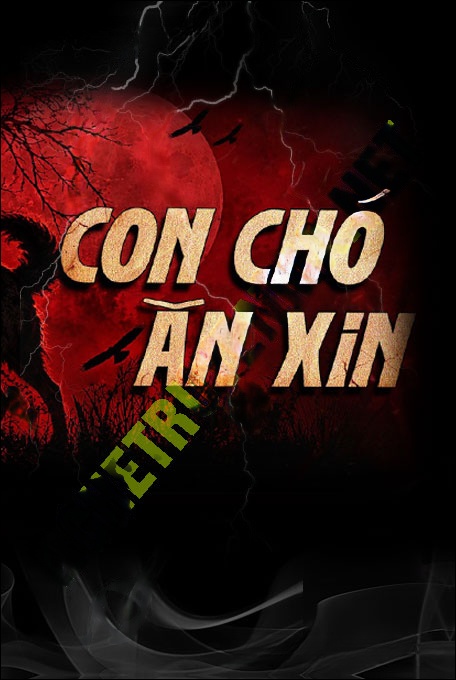 Con Chó Ăn Xin