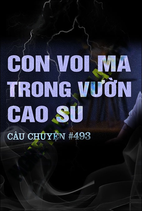Con Voi Ma Trong Vườn Cao Su