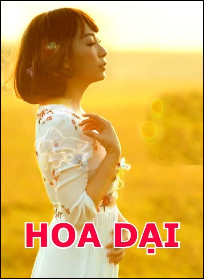 Hoa Dại