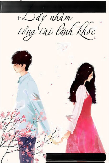 Lấy Nhầm Tổng Tài Lãnh Khốc - Truyện Ngôn Tình