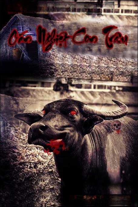 Oán Nghiệt Con Trâu
